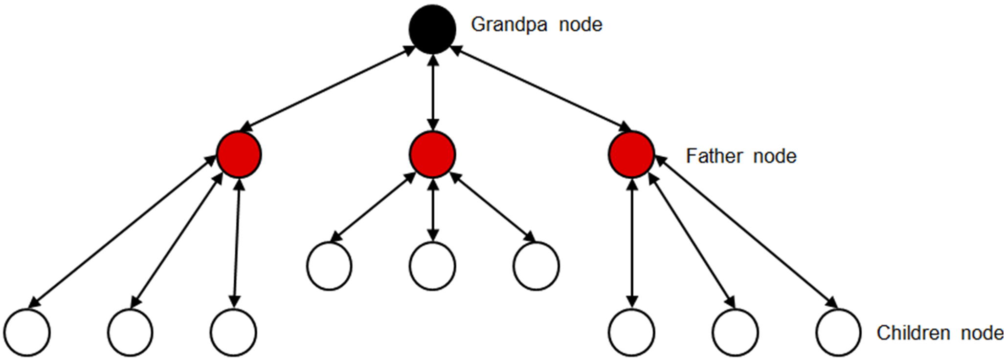 tree-structure-network.png